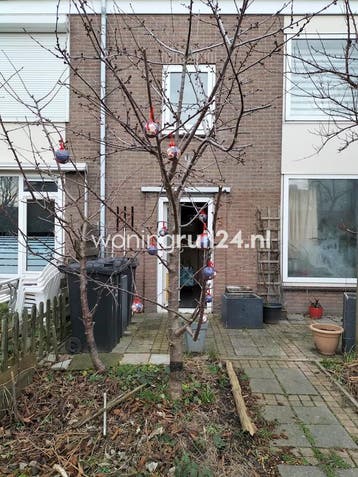 Woningruil - Paulus Potterlaan 5 - 3 kamers en Zeeland, Zeeland