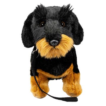 Carl Dick teckel knuffel - pluche - 30 cm - hondenknuffel, Verzenden, Nieuw