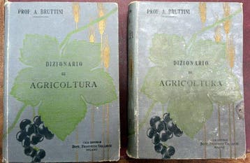 Arturo Bruttini - Dizionario di Agricoltura - 1901
