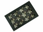 Stervormige kerstballen glas graniet groen combi mat glans, Diversen, Ophalen of Verzenden, Nieuw