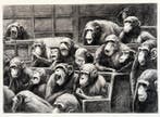 Mason Storm (1966) - Monkey Parliament II, Antiek en Kunst