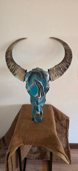Waterbuffel Taxidermie hoofdmontage - water buffalo (Bubalus
