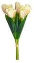 Tulpen Creme Pink Zijden Bundel 7 bloemen, Ophalen of Verzenden, Nieuw