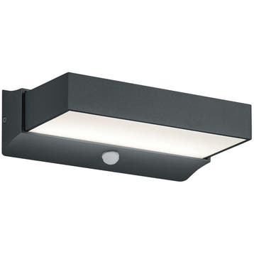 LED Tuinverlichting met Bewegingssensor - Wandlamp, Nieuw, Ophalen of Verzenden, Hanglamp, Led