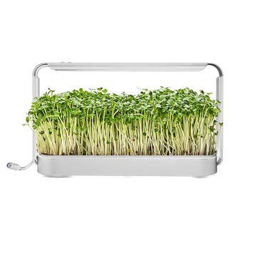 Microgroenten kweekset met lamp – Wit, Verzenden, Nieuw