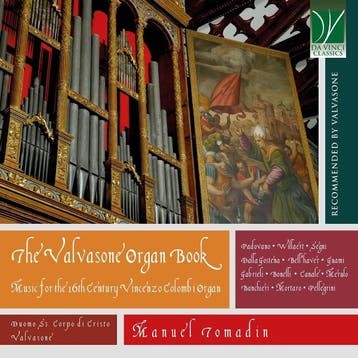 cd - manuel tomadin - THE VALVASONE ORGAN BOOK: MUSIC FOR..., Verzenden, Zo goed als nieuw