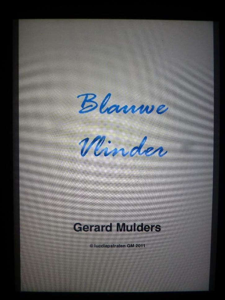 12 Luisterboeken plus 12 e-books - EIGEN WERK -op USB-stick, Boeken, Luisterboeken, Volwassene, Digitaal bestand, Verzenden