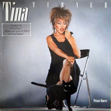 Tina Turner - Private Dancer, Ophalen of Verzenden, Gebruikt