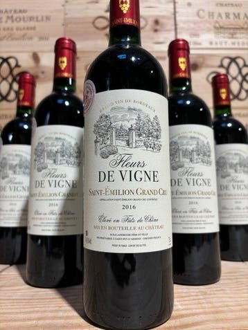 2016 Château La Fleur de Vigne - Saint-Émilion Grand Cru - 6, Nieuw