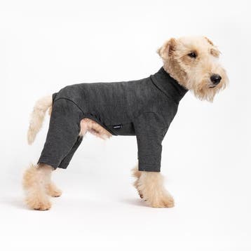 Comfort Jumpsuit voor Honden  Antraciet (Hondenkleding), Ophalen of Verzenden, Nieuw