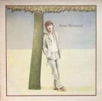 LP gebruikt - Steve Winwood - Steve Winwood, Verzenden, Zo goed als nieuw