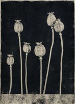 Tommaso Grella - Opium
