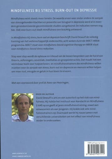 Mindfulness bij stress, burn-out en depressie 9789401427111, Boeken, Verzenden, Gelezen, David Dewulf
