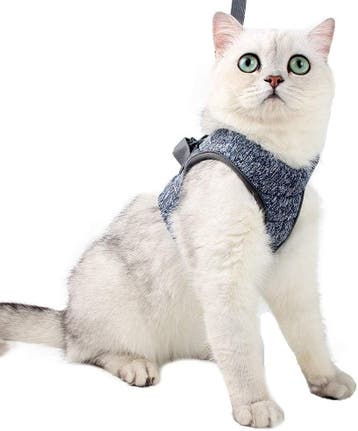 Kattentuigje met Lijn Mesh | Tweedekansje | OP=OP, Ophalen of Verzenden, Nieuw