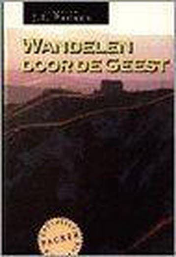 De wandel door de Geest - J.I. Packer 9789063180812, Boeken, Verzenden, Gelezen, J.I. Packer