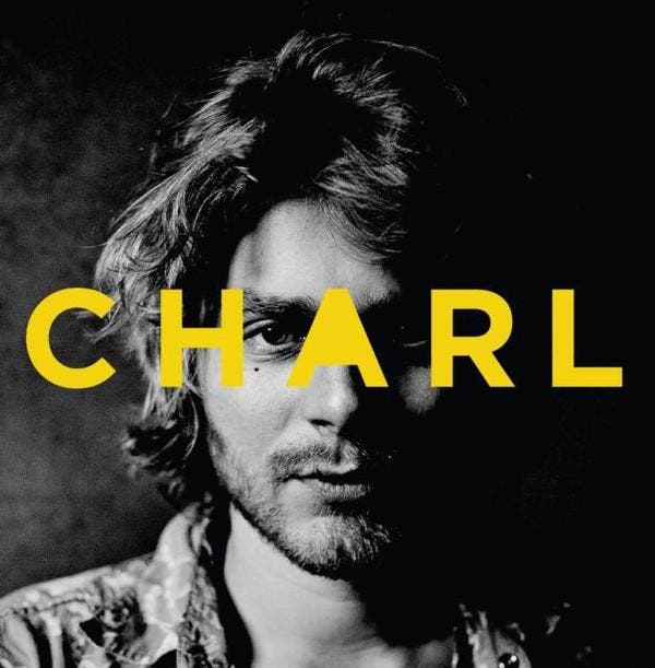 cd - Charl Delemarre - Charl, Cd's en Dvd's, Cd's | Overige Cd's, Zo goed als nieuw, Verzenden