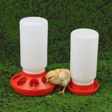 Automatische Voerbak en Drinkbak voor Duiven en Kippen, Verzenden, Nieuw