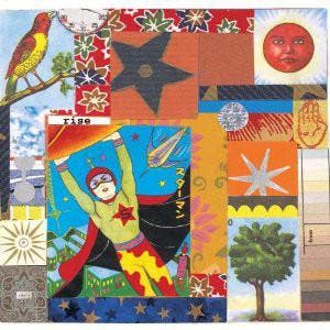 cd - Kim Richey - Rise, Verzenden, Zo goed als nieuw