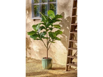 Mica Decorations Ficus Lyrata Kunstplant in Pot - H150 x Ø50, Huis en Inrichting, Verzenden, Nieuw