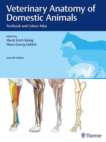 9783132429338 Veterinary Anatomy of Domestic Animals, Boeken, Verzenden, Nieuw, Horst Erich Koenig