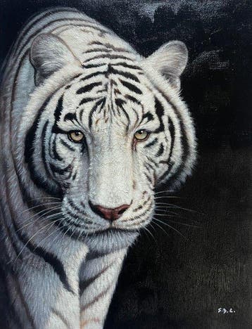 Silvano De Caris (1991) - Righe di luce