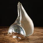 Exclusief Luxeobject - Verzilverd Zeeschelp - Busycon
