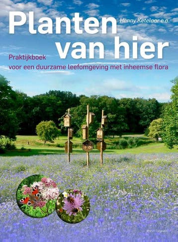 Planten Van Hier | Henny Ketelaar | Nieuw, Ophalen of Verzenden, Nieuw, Henny Ketelaar