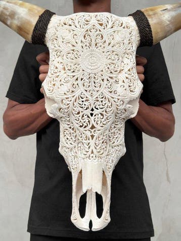 GEEN MINIMUMPRIJS - Grote witte stierenschedel met snijwerk, Antiek en Kunst