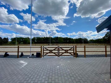 Houten omheining, Poorten, Lint Afrastering, Weide omheining, Ophalen, Nieuw, Overige soorten
