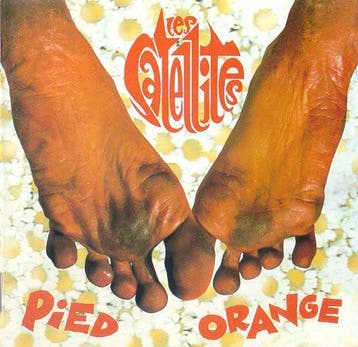 cd - Les Satellites - Pied Orange, Verzenden, Zo goed als nieuw