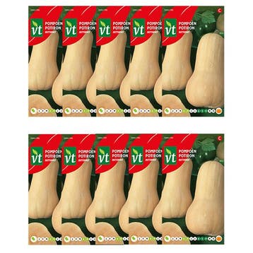Pompoenzaad | VT | 10 stuks (Flespompoen), Verzenden