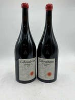 2021 Terra Vita Vinum Gabouchons - Loire - 2 Magnums (1.5L), Nieuw