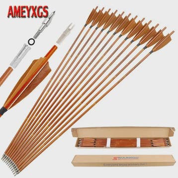 Set van 6/12 Gemengde Carbon Pijlen SP500 - 31.5 inch - Jach, Verzenden, Nieuw