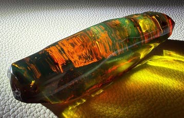 Mexicaanse barnsteen Chiapas!! AAA Geen minimumprijs- 31 g