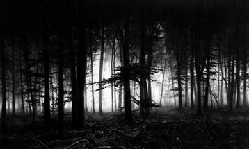Robert Longo (1953) - Untitled (Forest of Doxa), 2014