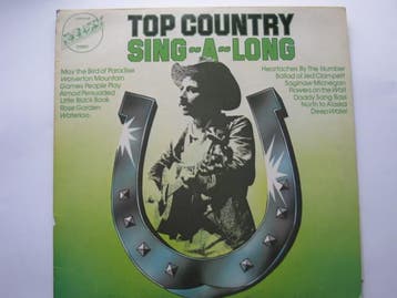 Various - Top Country Sing - A - Long, Ophalen of Verzenden, Gebruikt