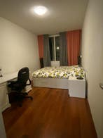Eigen Kamer aan Hogevecht, Amsterdam, 50 m² of meer, Amsterdam