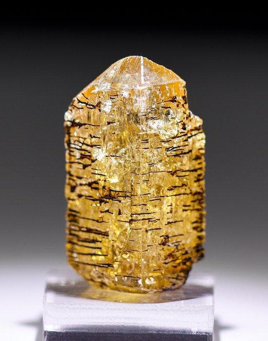 Uitzonderlijke Tiger Imperial Topaz • 50,15 ct • Echt, Verzamelen, Mineralen en Fossielen
