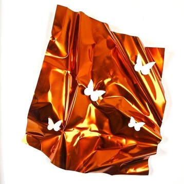 José Soler Art - Butterflies on Silk Orange- XL