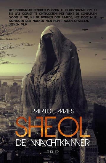 Sheol, de wachtkamer - Patrick Maes 9789493111127, Boeken, Verzenden, Gelezen, Patrick Maes