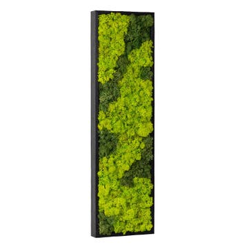 Vintlux Mosschilderij 15x60 cm Zwart - Nyborg, Nieuw