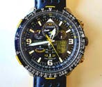 Citizen - Citizen Eco-Drive Radio-Controlled Watch - Zonder, Nieuw