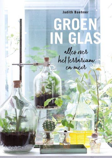 Groen in glas 9789462501928 Judith Baehner, Verzenden, Zo goed als nieuw, Judith Baehner