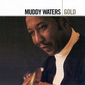 cd - Muddy Waters - Gold, Verzenden, Zo goed als nieuw