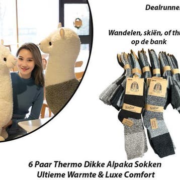6 Paar Thermo Dikke Alpaka Sokken, Kleding | Heren, Verzenden, Nieuw
