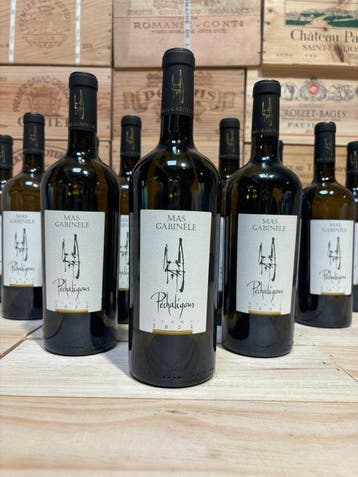 2022 Mas Gabinèle Pechaligous - Faugères - 12 Flessen, Nieuw