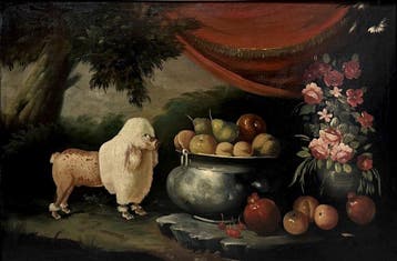 European School (XX) - Flemish Still Life with Poodle - XL