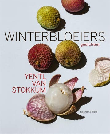 Winterbloeiers - Yentl van Stokkum 9789048866946, Verzenden, Zo goed als nieuw, Yentl van Stokkum