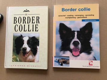 2 Boeken Border Collies, Ophalen of Verzenden, Gelezen, Honden