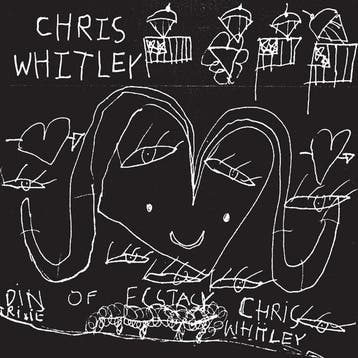 lp nieuw - chris whitley - DIN OF ECSTASY (nieuw), Verzenden, Zo goed als nieuw, Overige formaten
